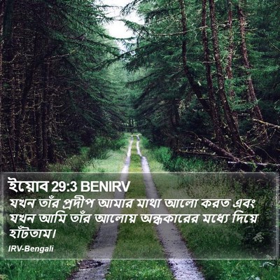 ইয়োব 29:3 BENIRV Bible Verse Image