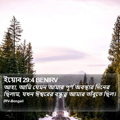 ইয়োব 29:4 BENIRV Bible Verse Image