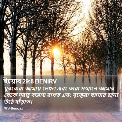 ইয়োব 29:8 BENIRV Bible Verse Image
