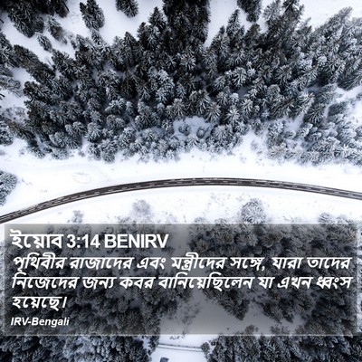 ইয়োব 3:14 BENIRV Bible Verse Image
