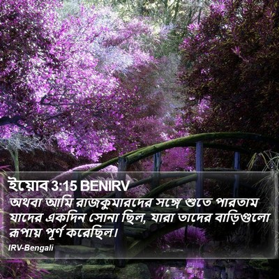 ইয়োব 3:15 BENIRV Bible Verse Image