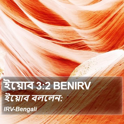 ইয়োব 3:2 BENIRV Bible Verse Image