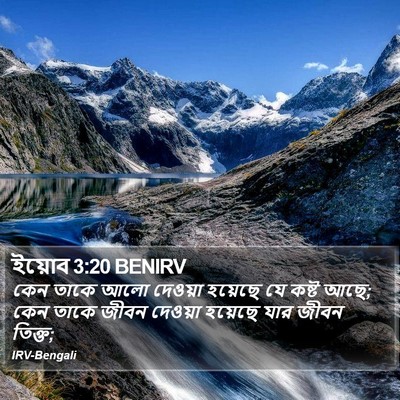 ইয়োব 3:20 BENIRV Bible Verse Image
