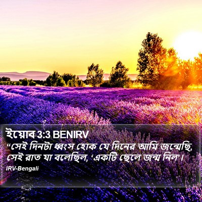 ইয়োব 3:3 BENIRV Bible Verse Image