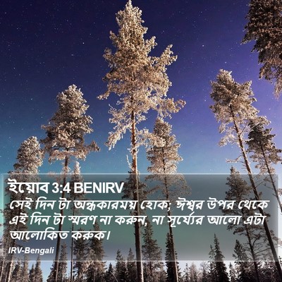 ইয়োব 3:4 BENIRV Bible Verse Image