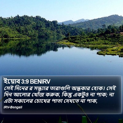 ইয়োব 3:9 BENIRV Bible Verse Image