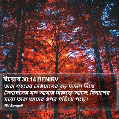 ইয়োব 30:14 BENIRV Bible Verse Image