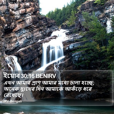 ইয়োব 30:16 BENIRV Bible Verse Image