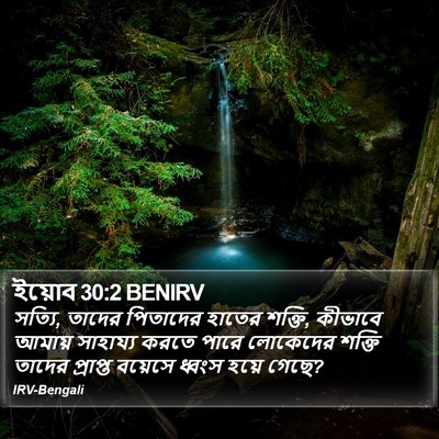 ইয়োব 30:2 BENIRV Bible Verse Image