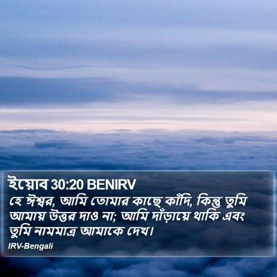 ইয়োব 30:20 BENIRV Bible Verse Image