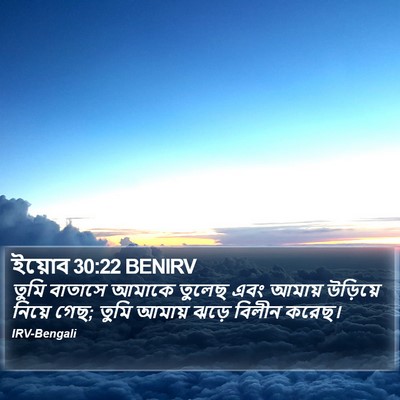 ইয়োব 30:22 BENIRV Bible Verse Image