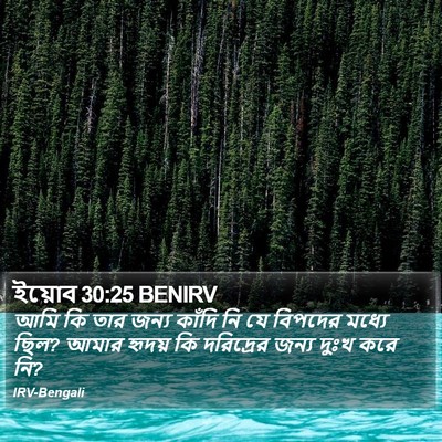 ইয়োব 30:25 BENIRV Bible Verse Image
