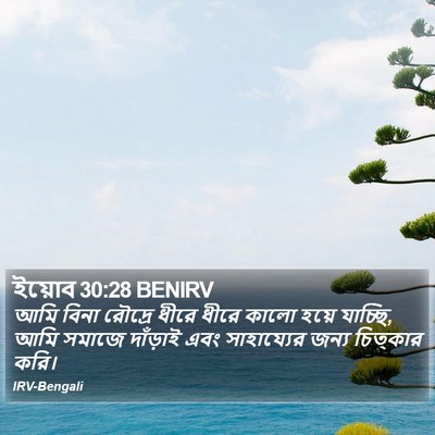 ইয়োব 30:28 BENIRV Bible Verse Image