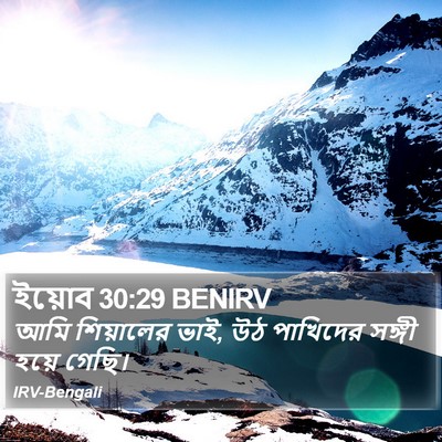 ইয়োব 30:29 BENIRV Bible Verse Image