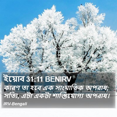 ইয়োব 31:11 BENIRV Bible Verse Image