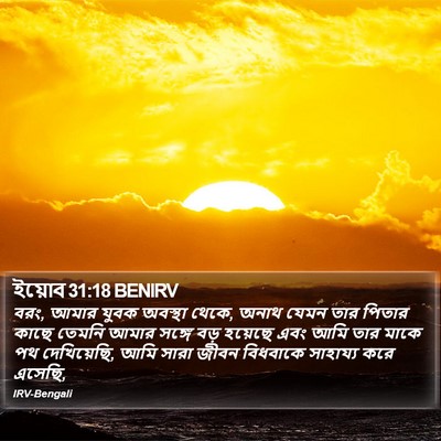 ইয়োব 31:18 BENIRV Bible Verse Image