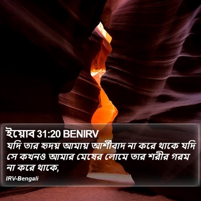 ইয়োব 31:20 BENIRV Bible Verse Image