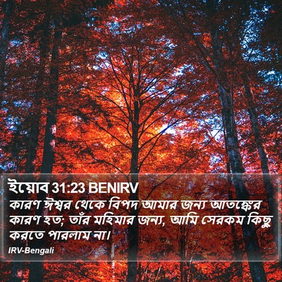 ইয়োব 31:23 BENIRV Bible Verse Image