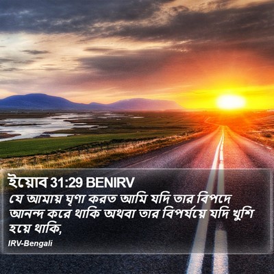 ইয়োব 31:29 BENIRV Bible Verse Image