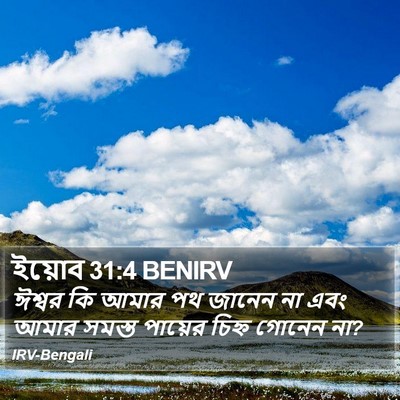 ইয়োব 31:4 BENIRV Bible Verse Image