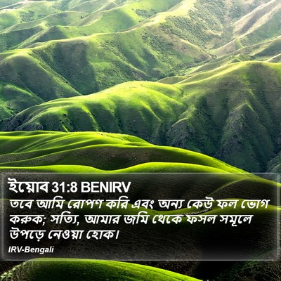 ইয়োব 31:8 BENIRV Bible Verse Image