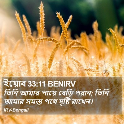 ইয়োব 33:11 BENIRV Bible Verse Image