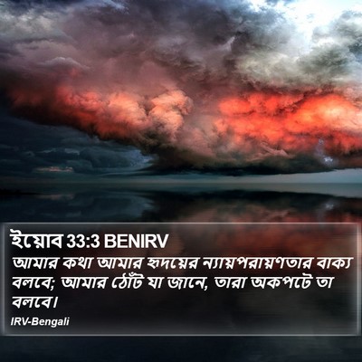ইয়োব 33:3 BENIRV Bible Verse Image