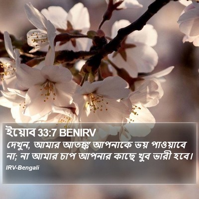 ইয়োব 33:7 BENIRV Bible Verse Image