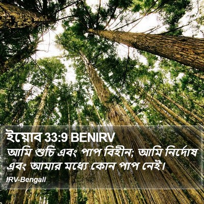 ইয়োব 33:9 BENIRV Bible Verse Image