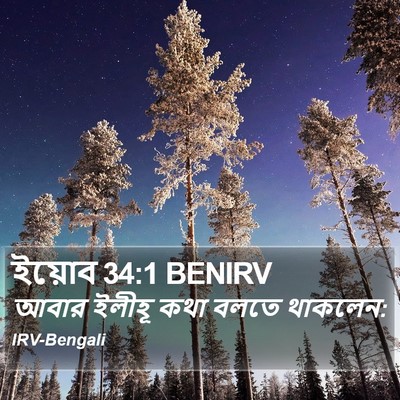 ইয়োব 34:1 BENIRV Bible Verse Image