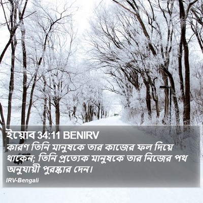 ইয়োব 34:11 BENIRV Bible Verse Image