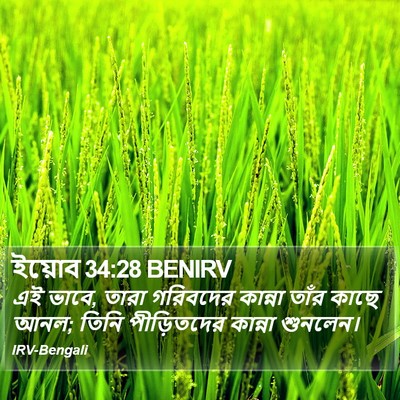 ইয়োব 34:28 BENIRV Bible Verse Image