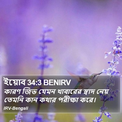 ইয়োব 34:3 BENIRV Bible Verse Image