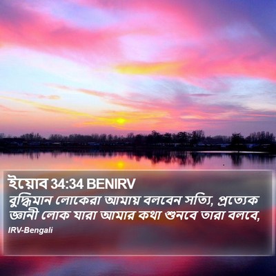 ইয়োব 34:34 BENIRV Bible Verse Image