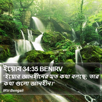 ইয়োব 34:35 BENIRV Bible Verse Image