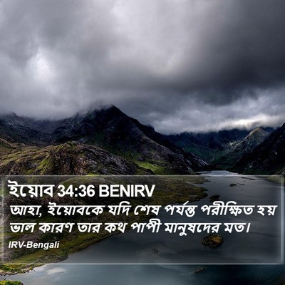 ইয়োব 34:36 BENIRV Bible Verse Image