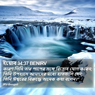ইয়োব 34:37 BENIRV Bible Verse Image