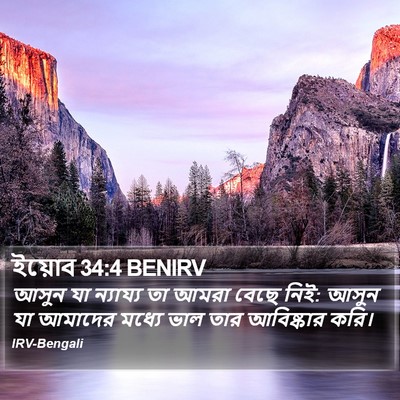 ইয়োব 34:4 BENIRV Bible Verse Image