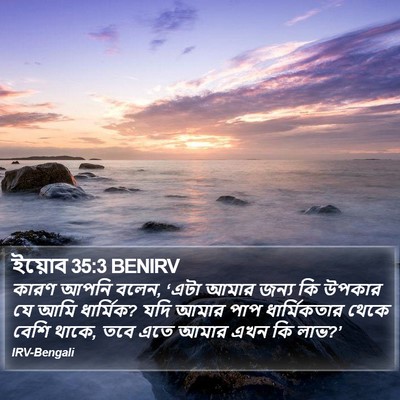 ইয়োব 35:3 BENIRV Bible Verse Image