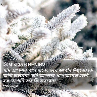 ইয়োব 35:6 BENIRV Bible Verse Image