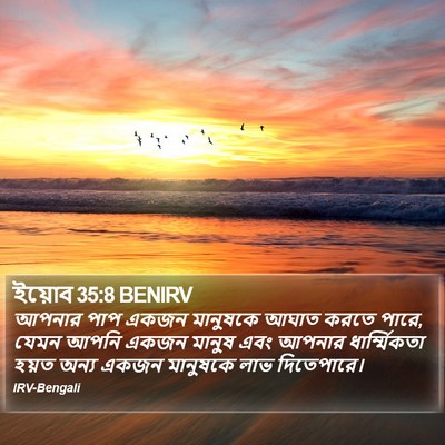 ইয়োব 35:8 BENIRV Bible Verse Image