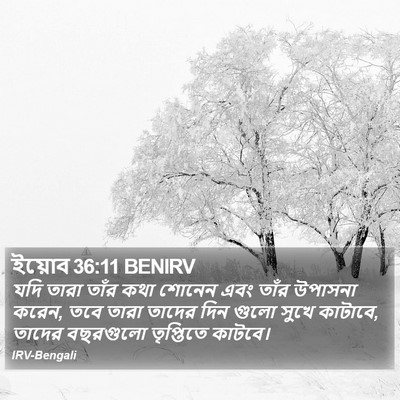 ইয়োব 36:11 BENIRV Bible Verse Image