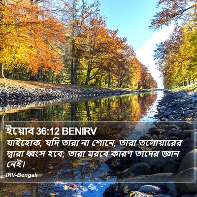 ইয়োব 36:12 BENIRV Bible Verse Image