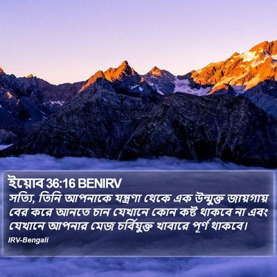 ইয়োব 36:16 BENIRV Bible Verse Image
