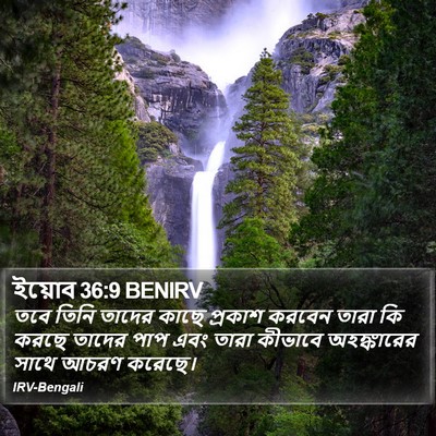 ইয়োব 36:9 BENIRV Bible Verse Image