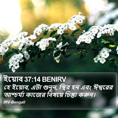 ইয়োব 37:14 BENIRV Bible Verse Image