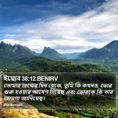 ইয়োব 38:12 BENIRV Bible Verse Image
