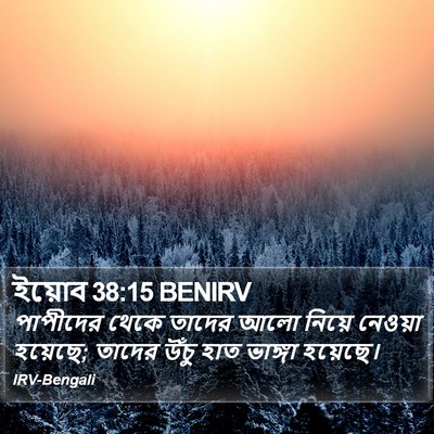 ইয়োব 38:15 BENIRV Bible Verse Image