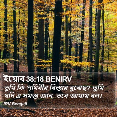 ইয়োব 38:18 BENIRV Bible Verse Image