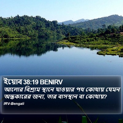 ইয়োব 38:19 BENIRV Bible Verse Image